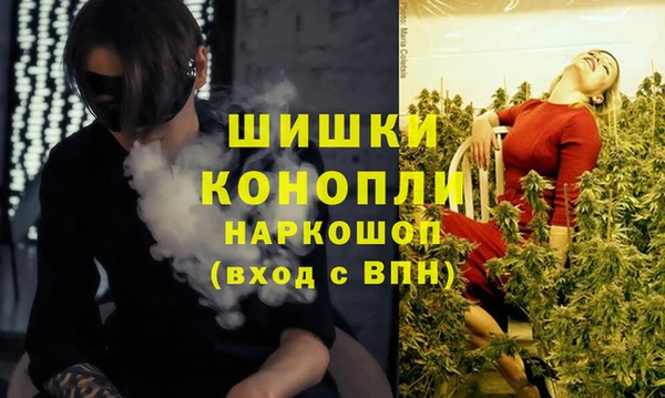 apvp Балахна