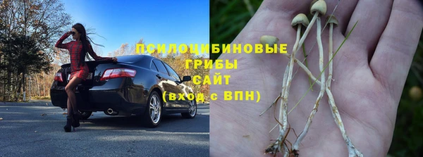 apvp Балахна